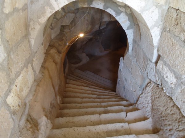 WhatsApp Image 2025-05-21 at 16-10-38